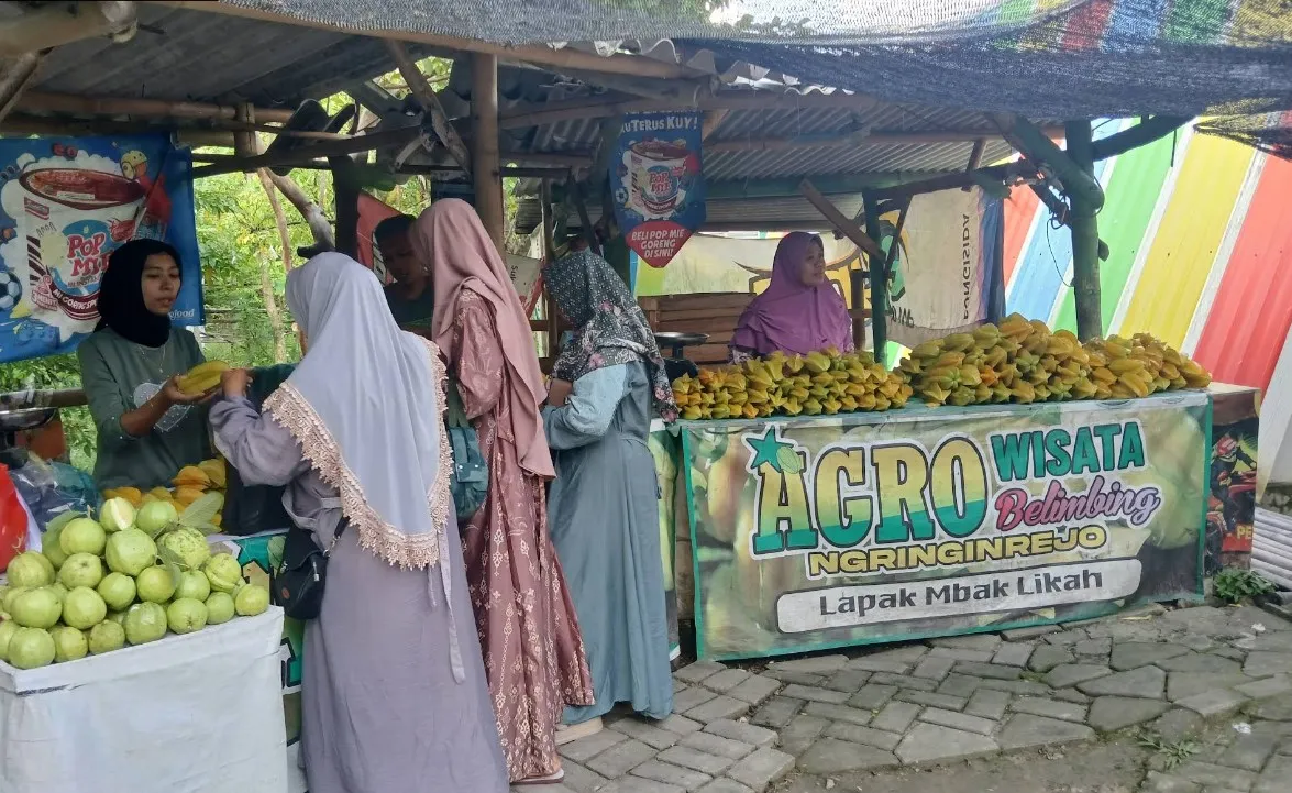 Agrowisata Kebun Belimbing Bojonegoro