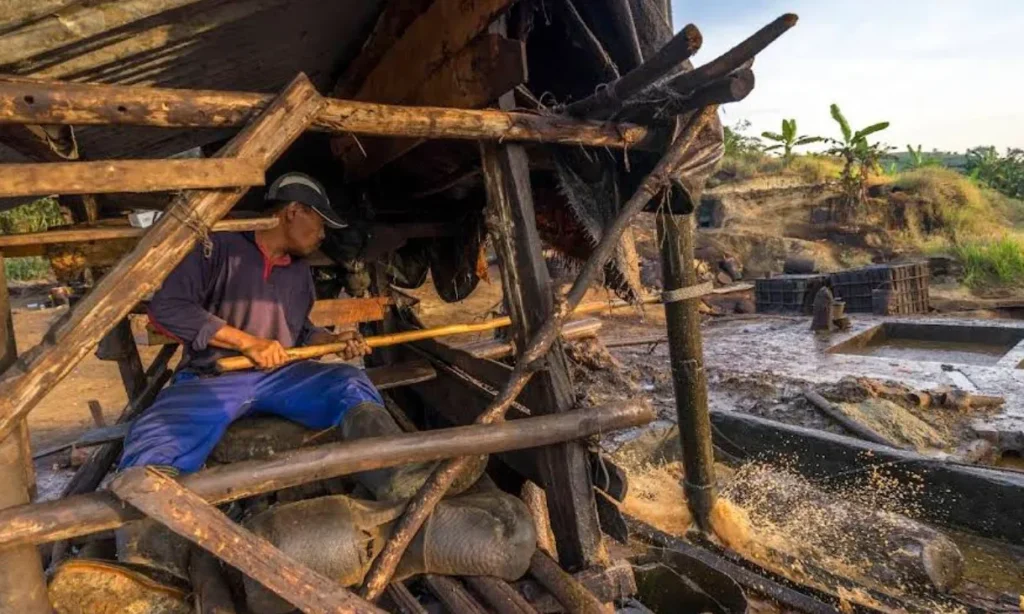 Penambang Minyak Wonocolo